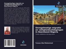 Bookcover of Onregelmatige migratie en veiligheidsuitdagingen in Noordwest-Nigeria