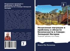 Bookcover of Незаконная миграция и проблемы в области безопасности в Северо-Западной Нигерии