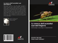 Copertina di La mosca dell'acetoNel sud dell'Algeria