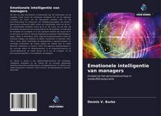 Emotionele intelligentie van managers kitap kapağı