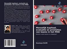 Bookcover of Menselijk kapitaal, evaluatie en prestaties van teams in het MKB