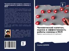 Bookcover of Человеческий капитал, оценка и эффективность работы команд в МСП