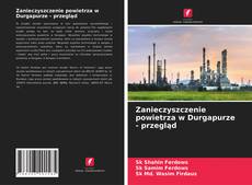 Bookcover of Zanieczyszczenie powietrza w Durgapurze - przegląd