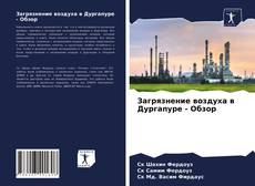 Capa do livro de Загрязнение воздуха в Дургапуре - Обзор 