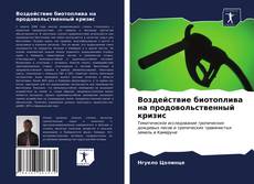 Borítókép a  Воздействие биотоплива на продовольственный кризис - hoz