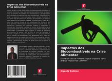 Capa do livro de Impactos dos Biocombustíveis na Crise Alimentar 