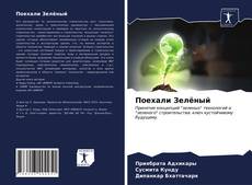 Buchcover von Поехали Зелёный