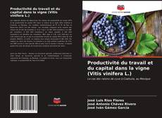 Buchcover von Productivité du travail et du capital dans la vigne (Vitis vinifera L.)