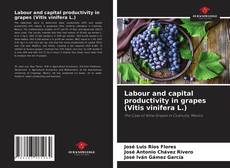 Bookcover of Labour and capital productivity in grapes (Vitis vinifera L.)