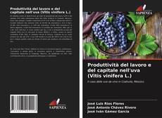 Produttività del lavoro e del capitale nell'uva (Vitis vinifera L.)的封面