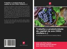 Buchcover von Trabalho e produtividade de capital na uva (Vitis vinifera L.)