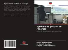 Обложка Système de gestion de l'énergie