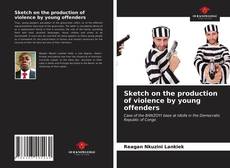 Copertina di Sketch on the production of violence by young offenders