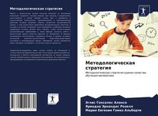 Методологическая стратегия kitap kapağı