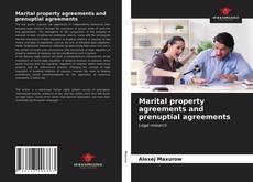 Copertina di Marital property agreements and prenuptial agreements