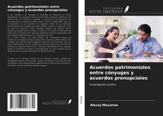 Bookcover of Acuerdos patrimoniales entre cónyuges y acuerdos prenupciales