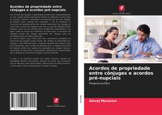 Couverture de Acordos de propriedade entre cônjuges e acordos pré-nupciais