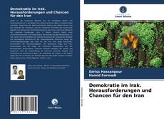 Portada del libro de Demokratie im Irak. Herausforderungen und Chancen für den Iran