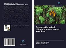 Bookcover of Democratie in Irak. Uitdagingen en kansen voor Iran