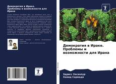 Bookcover of Демократия в Ираке. Проблемы и возможности для Ирана