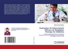 Copertina di Evaluation & Enhancement Efficacy of Sitagliptin Therapy for Diabetes