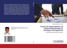 Copertina di Issues of improvement of informational base in strategy management