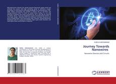 Copertina di Journey Towards Nanowires