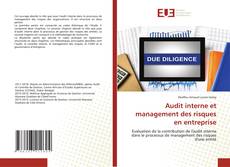 Audit interne et management des risques en entreprise kitap kapağı