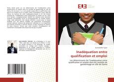 Inadéquation entre qualification et emploi kitap kapağı