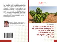 Copertina di Etude comparée de l'effet des fertilisants biologiques et chimiques sur le developpement du pourghère (Jatropha curcas)