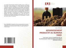 ASSAINISSEMENT PRODUCTIF AU BURKINA FASO的封面