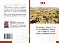 Buchcover von Dynamique des services écosystémiques dans le bassin versant d’Oum Zessar (Sud Est tunisien)