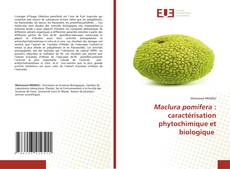 Maclura pomifera : caractérisation phytochimique et biologique kitap kapağı