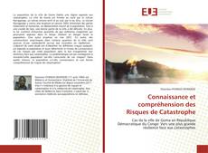 Buchcover von Connaissance et compréhension des Risques de Catastrophe