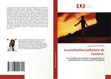 Обложка La protection judiciaire de l’enfant: