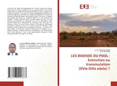 Bookcover of LES BWENDE DU POOL : Extinction ou transmutation (XVIe-XIXe siècle) ?
