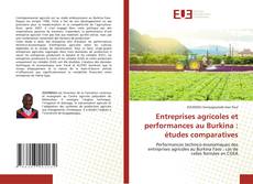 Обложка Entreprises agricoles et performances au Burkina : études comparatives