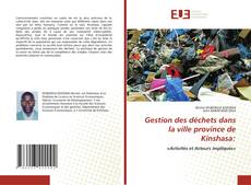 Bookcover of Gestion des déchets dans la ville province de Kinshasa: