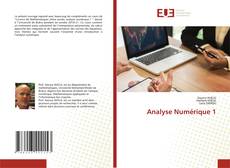 Copertina di Analyse Numérique 1