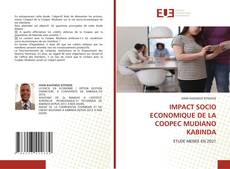 IMPACT SOCIO ECONOMIQUE DE LA COOPEC MUDIANO KABINDA的封面