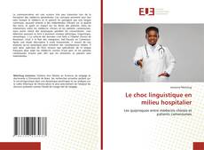 Le choc linguistique en milieu hospitalier的封面