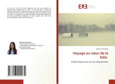 Buchcover von Voyage au cœur de la folie
