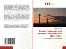 Обложка Consommation énergies renouvelables, croissance économique