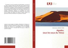 Capa do livro de Agadez, sous les eaux du Telwa 
