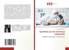 Synthèse sur les minéraux radioactifs的封面