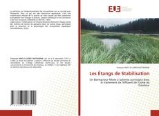 Borítókép a  Les Étangs de Stabilisation - hoz