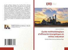 Portada del libro de Guide méthodologique d’efficacité énergétique en milieu industriel