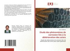 Bookcover of Etude des phénomènes de corrosion liés à la détérioration des aciers