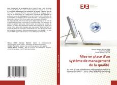 Mise en place d’un système de management de la qualité的封面