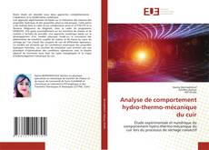 Analyse de comportement hydro-thermo-mécanique du cuir的封面